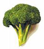 broccolo